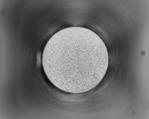 X0000102340028200808291148