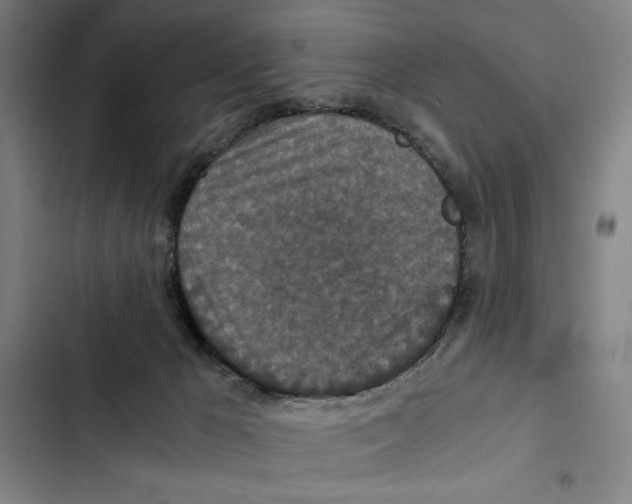 X0000102340029200808291148