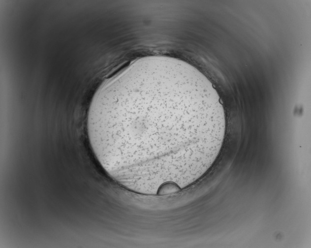 X0000102340030200808291148