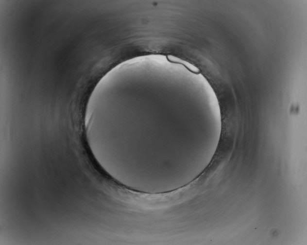 X0000102340031200808291148