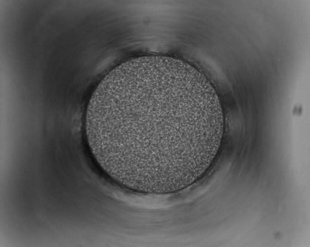 X0000102340032200808291148