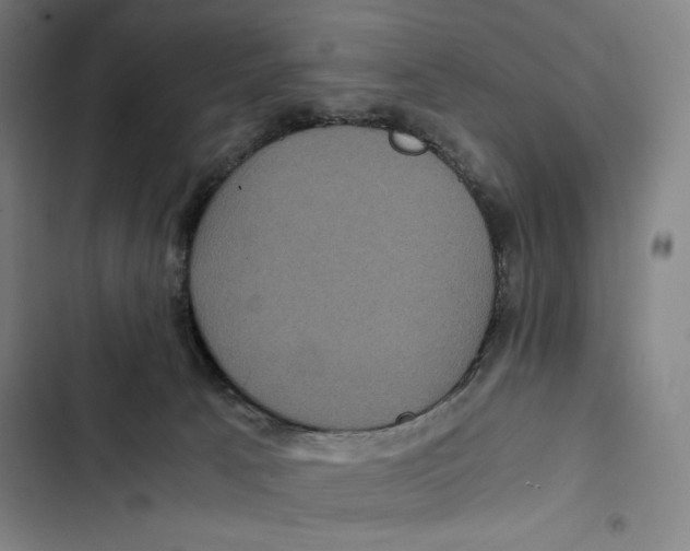 X0000102340033200808291147
