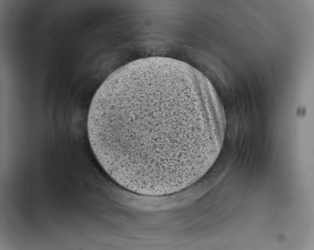 X0000102340034200808291147