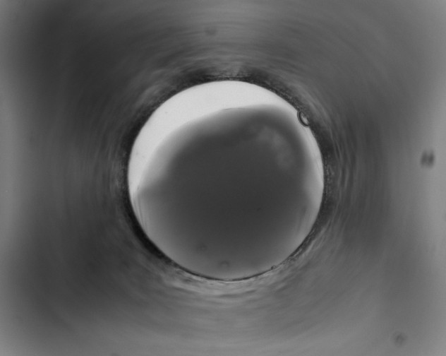 X0000102340035200808291147