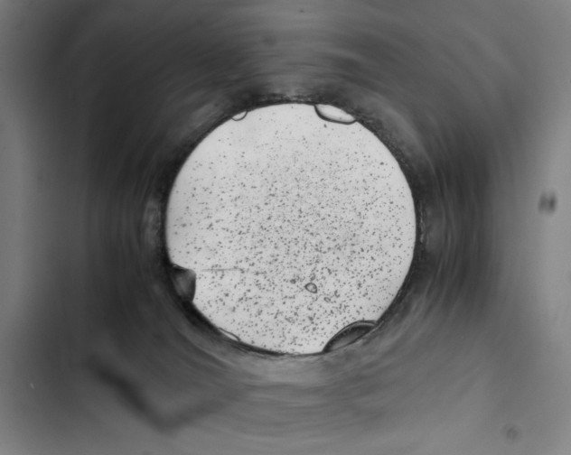 X0000102340036200808291147