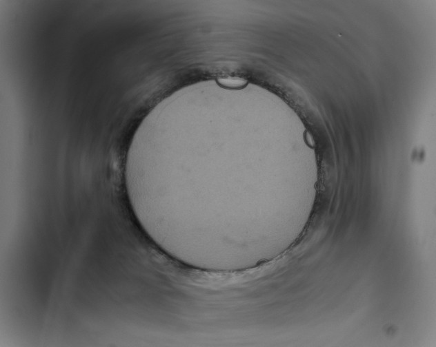 X0000102340037200808291147