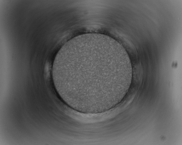 X0000102340038200808291147