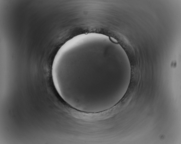 X0000102340039200808291147