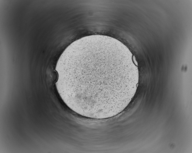 X0000102340040200808291147