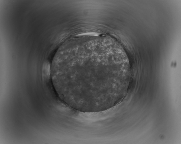 X0000102340041200808291147