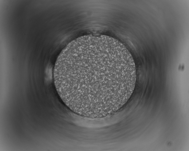 X0000102340042200808291147