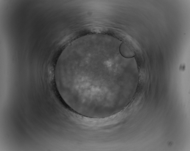 X0000102340043200808291147