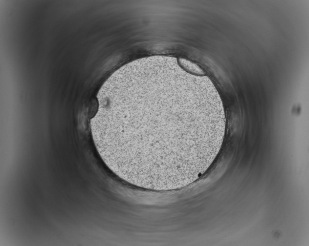 X0000102340044200808291147