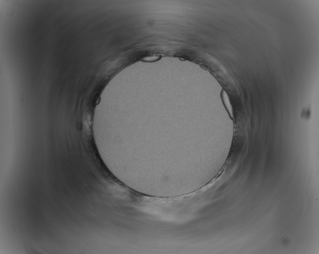 X0000102340045200808291147