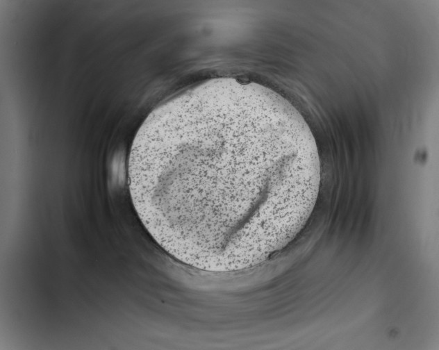 X0000102340046200808291147