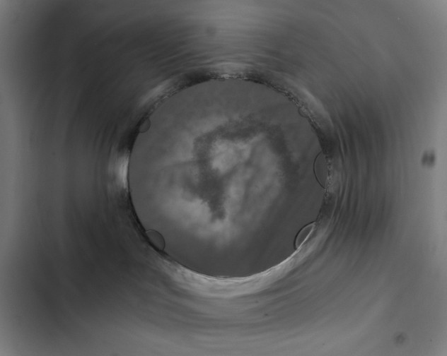 X0000102340047200808291147