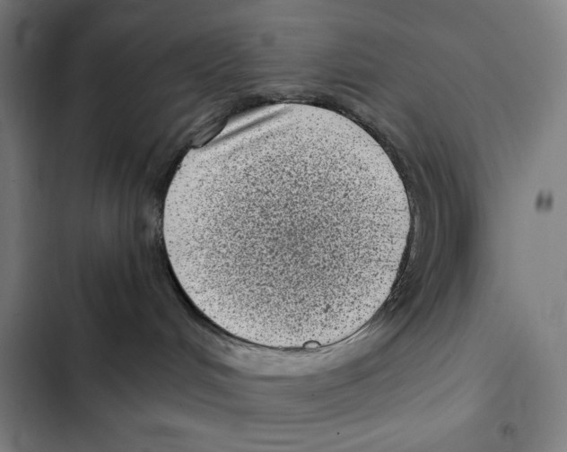 X0000102340048200808291147