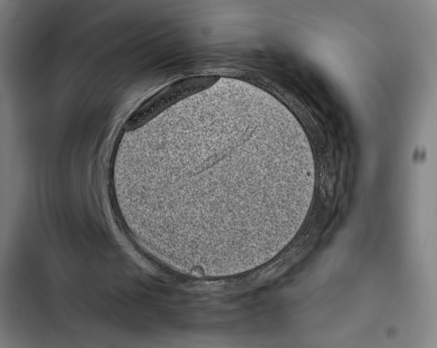 X0000102340049200808291147