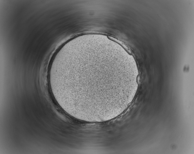 X0000102340050200808291147