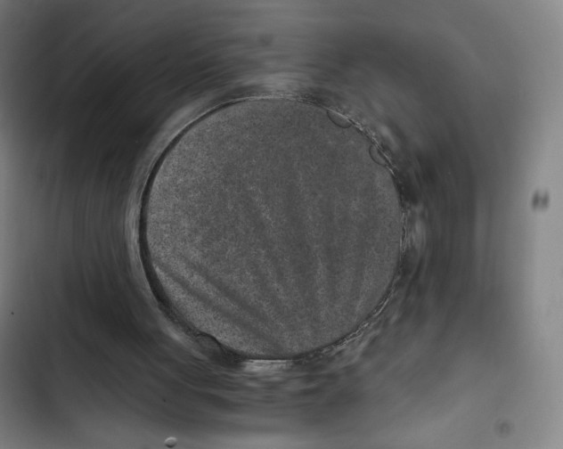 X0000102340051200808291147