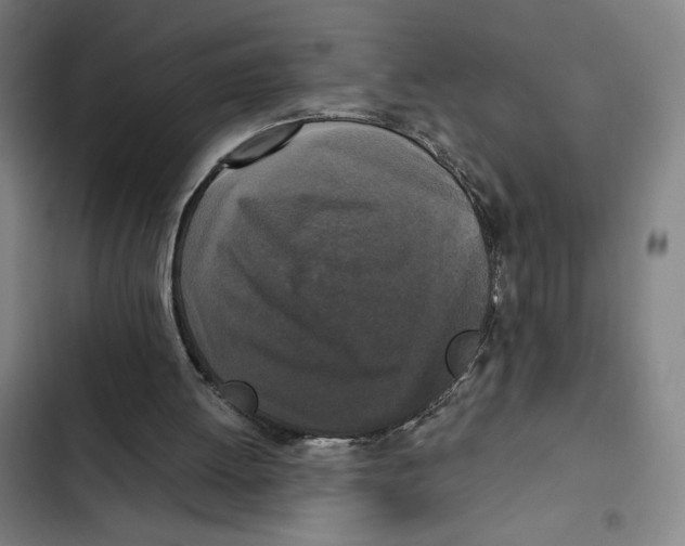 X0000102340052200808291147