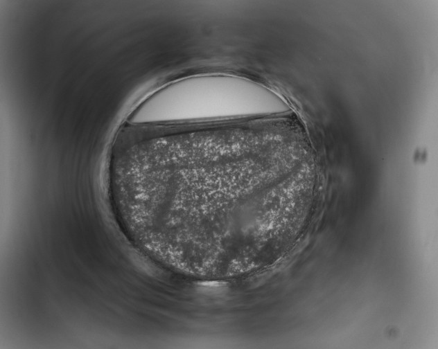 X0000102340053200808291147