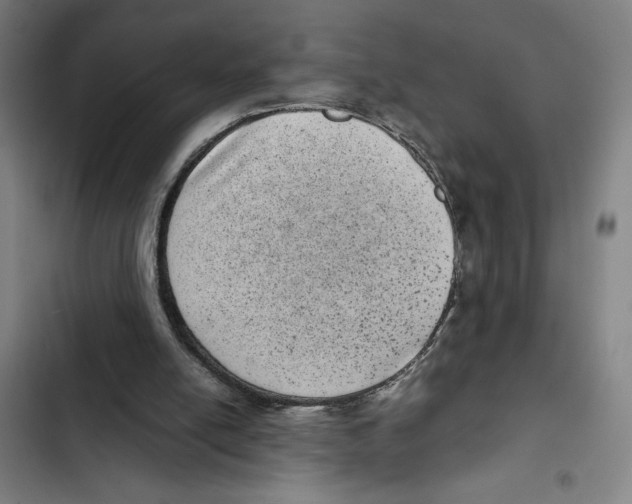 X0000102340054200808291147