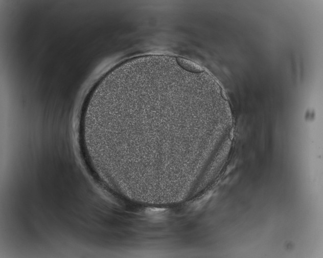 X0000102340055200808291147
