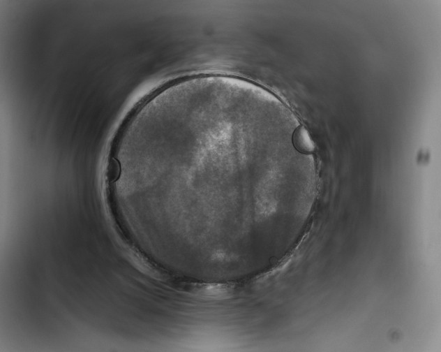X0000102340056200808291147