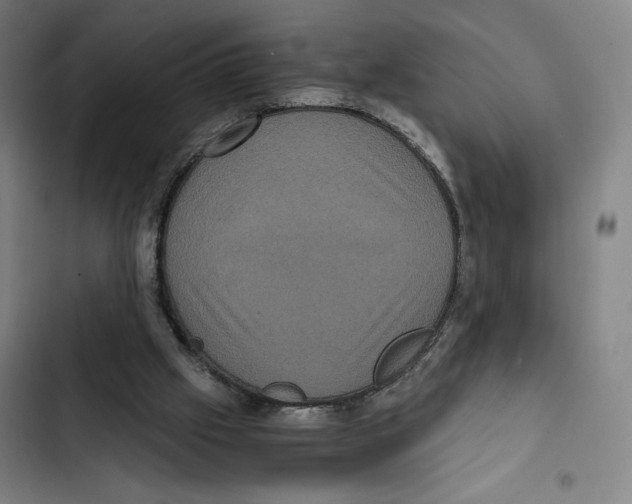 X0000102340057200808291147