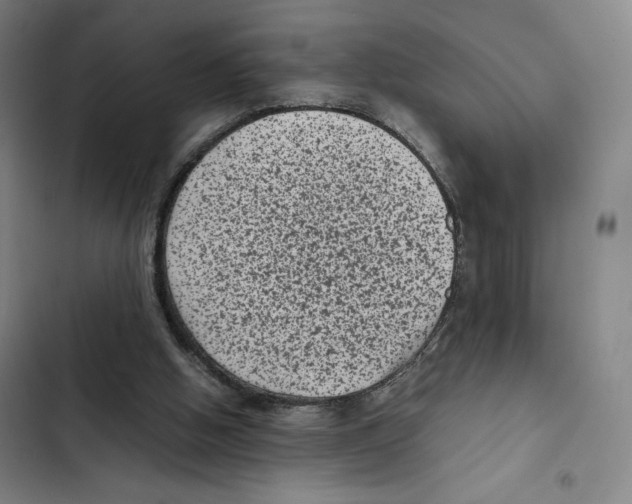 X0000102340058200808291147