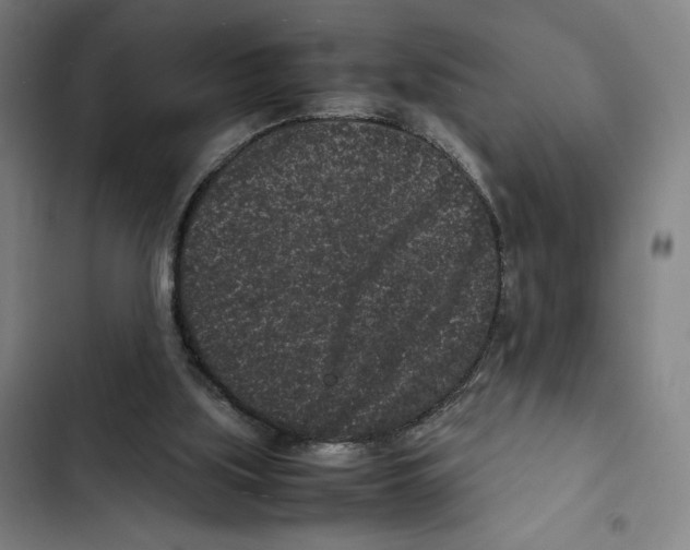 X0000102340059200808291147