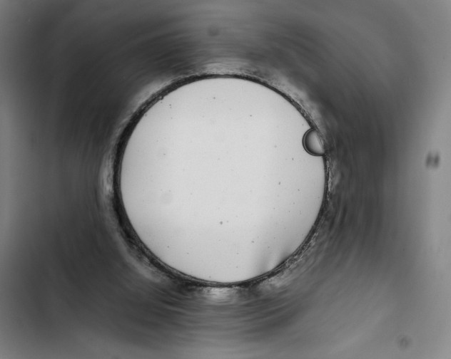 X0000102340060200808291147