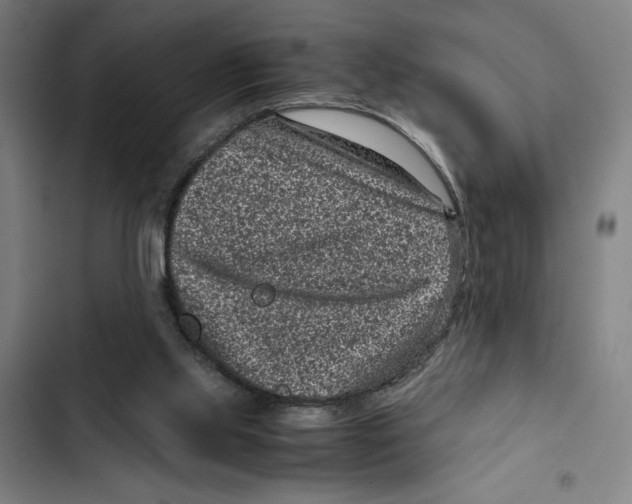 X0000102340061200808291147