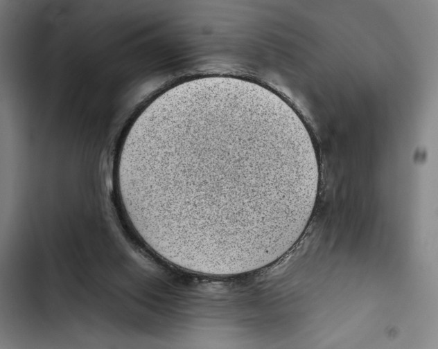 X0000102340062200808291147