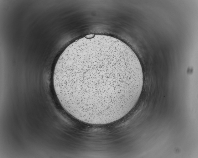 X0000102340063200808291147