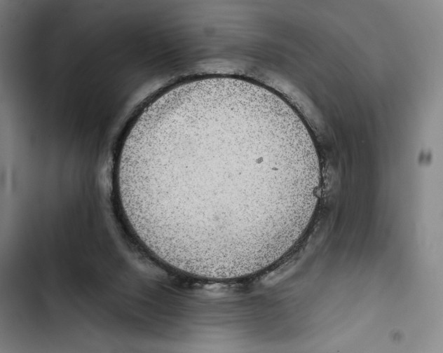 X0000102340064200808291147