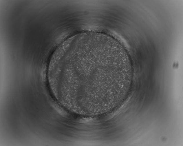X0000102340065200808291147