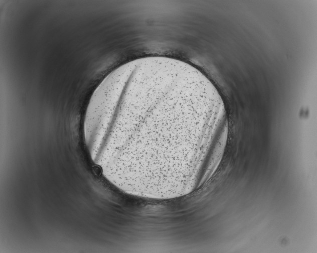 X0000102340066200808291147