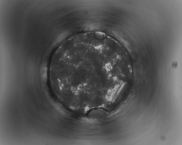 X0000102340067200808291147