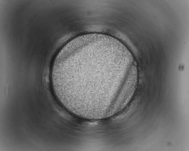 X0000102340068200808291147