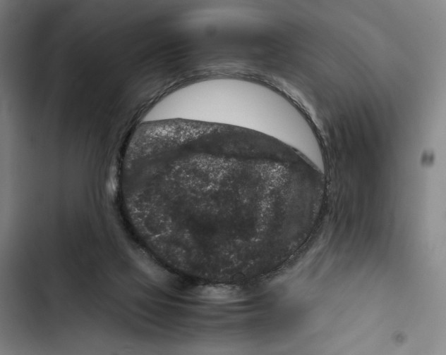 X0000102340069200808291147