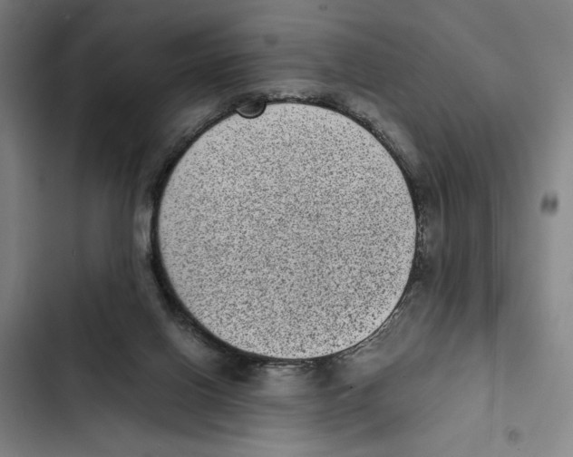 X0000102340070200808291147