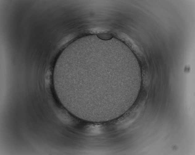 X0000102340071200808291147