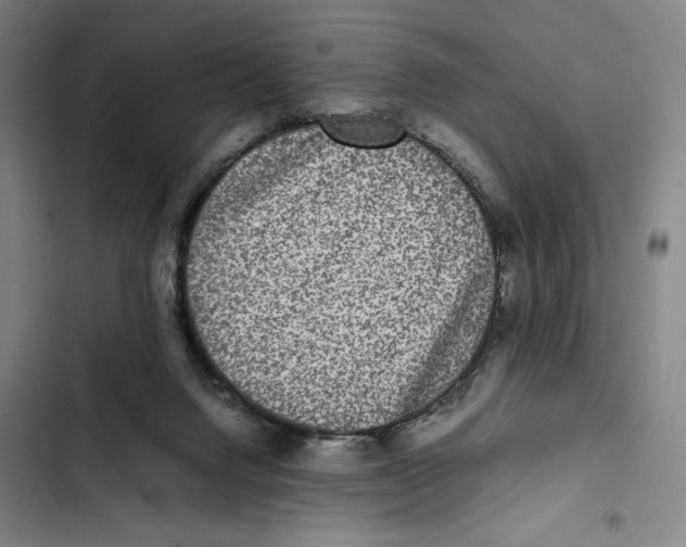 X0000102340072200808291147