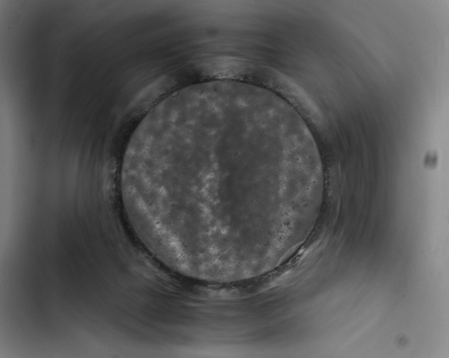 X0000102340073200808291147