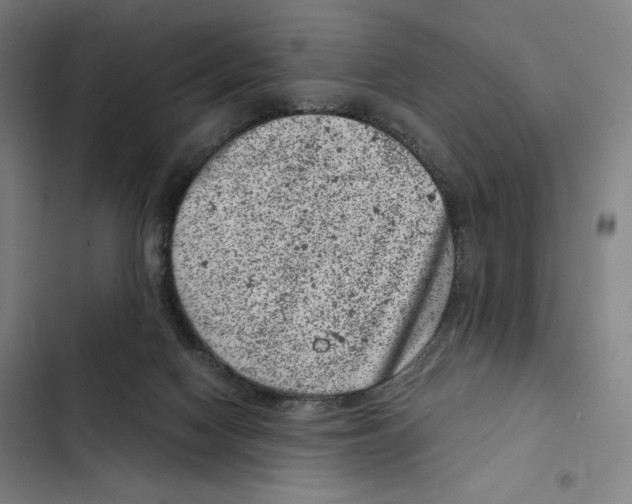 X0000102340074200808291147