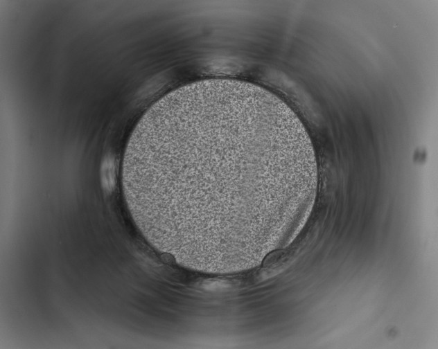 X0000102340075200808291147