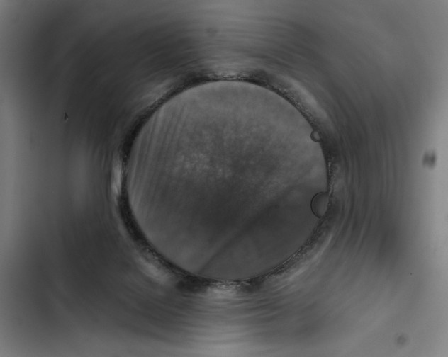 X0000102340076200808291147