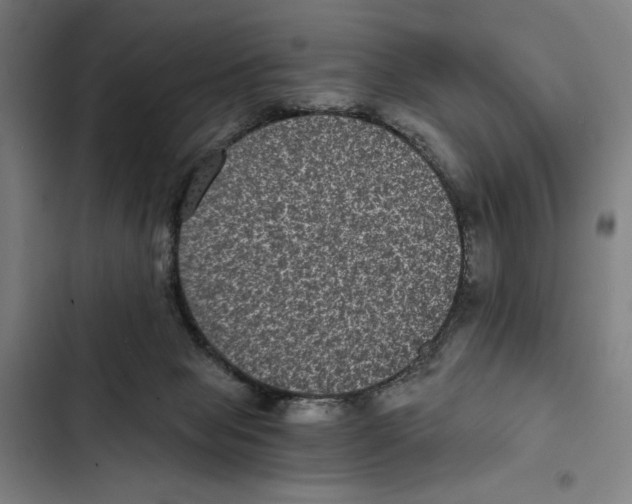 X0000102340077200808291147